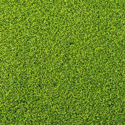 Antiope Lime turf