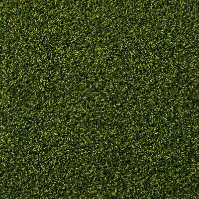 Minerva Olive turf